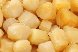 瑶柱是什么东西,探寻海味珍品背后的故事