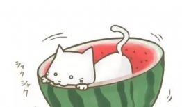 网红吃瓜爆料平台 漫画,揭秘娱乐圈幕后真相